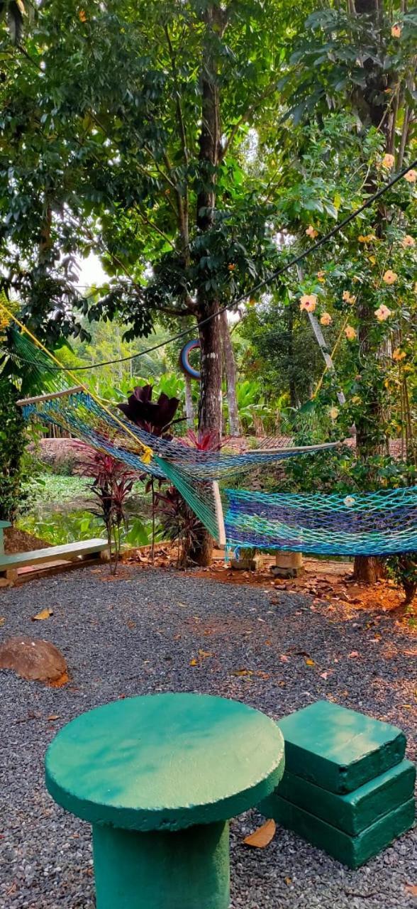 Kuttickattil Gardens Homestay Kottayam Zewnętrze zdjęcie