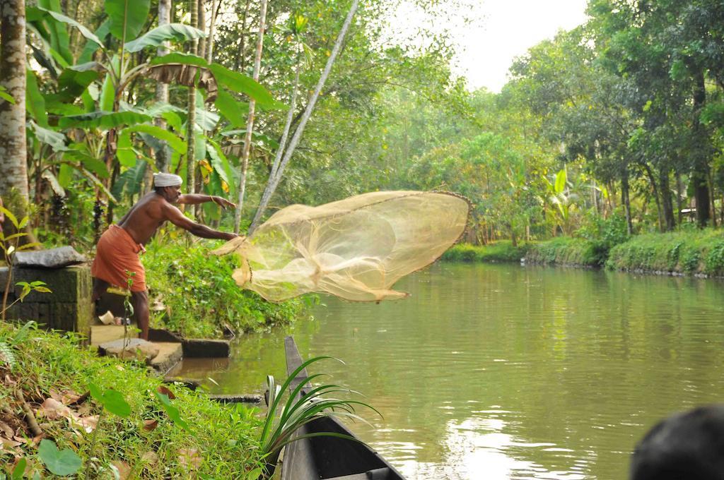Kuttickattil Gardens Homestay Kottayam Zewnętrze zdjęcie